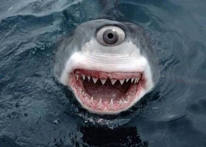 There's No Way To Explain Why These Things Happened (38 pics)