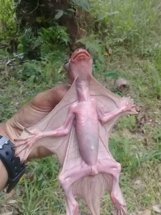 There's No Way To Explain Why These Things Happened (38 pics)