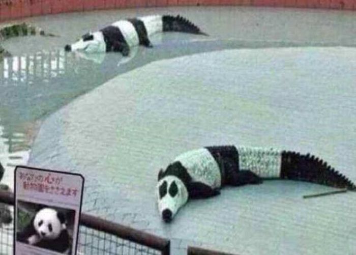 There's No Way To Explain Why These Things Happened (38 pics)