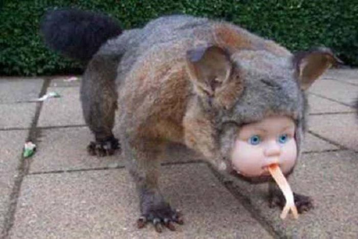 There's No Way To Explain Why These Things Happened (38 pics)