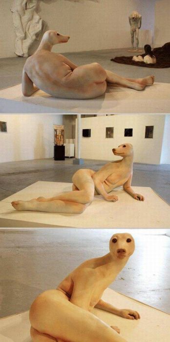 There's No Way To Explain Why These Things Happened (38 pics)