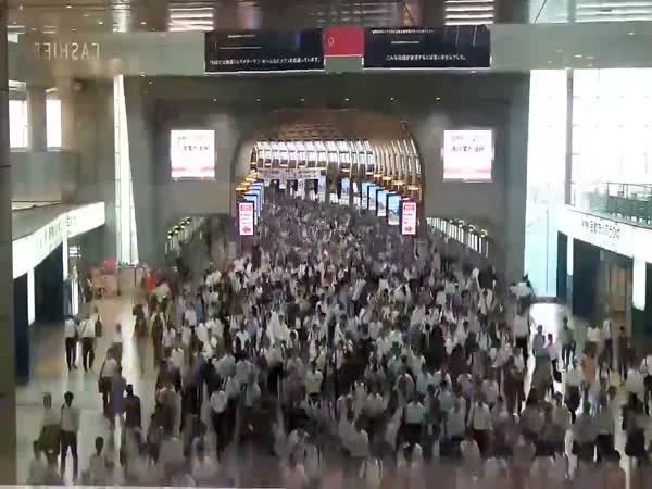 Tokyo Subway During Rush Hour