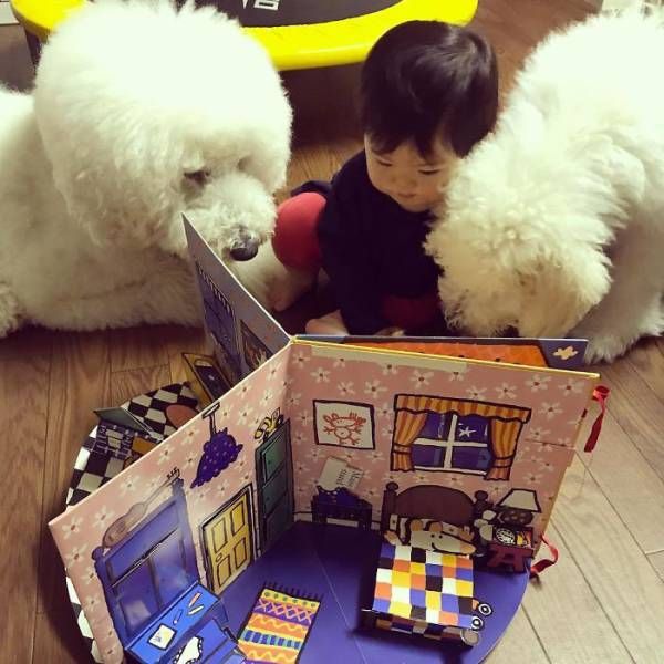 One-Year-Old Girl And Her Giant Poodle Are Friendship Goals Personified (17 pics)