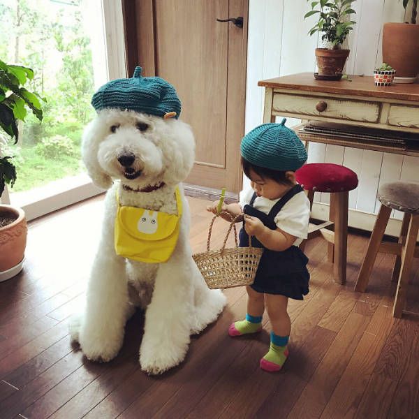 One-Year-Old Girl And Her Giant Poodle Are Friendship Goals Personified (17 pics)