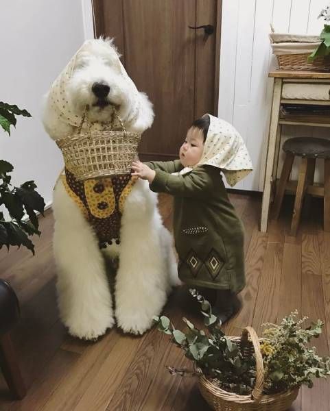 One-Year-Old Girl And Her Giant Poodle Are Friendship Goals Personified (17 pics)