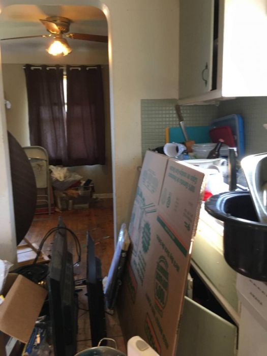 Family With Dogs Destroys Apartment (19 pics)