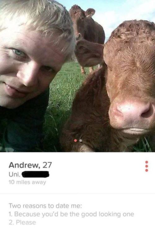 Tinder Profiles That Are Both Confusing And Hilarious (20 pics)