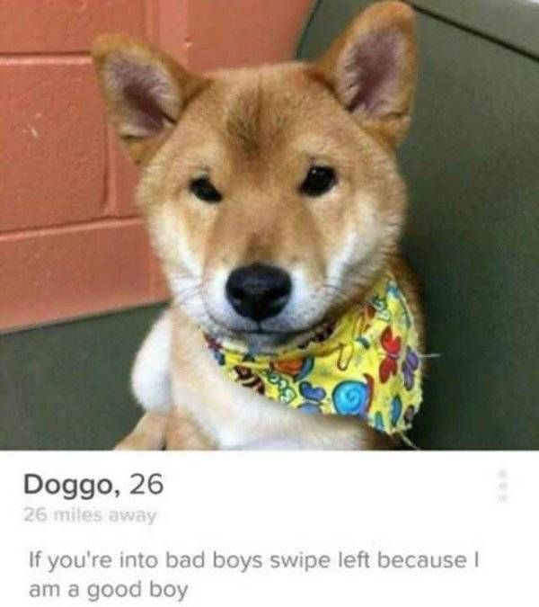 Tinder Profiles That Are Both Confusing And Hilarious (20 pics)