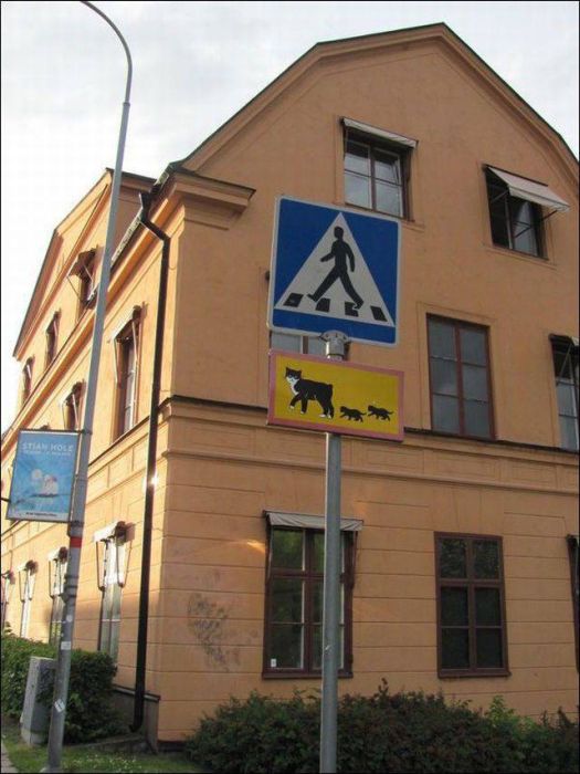 Acid Picdump (110 pics)