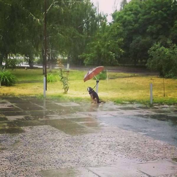 Acid Picdump (110 pics) Acid Picdump (110 pics)