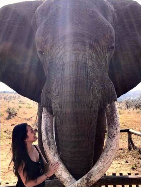 Acid Picdump (110 pics)