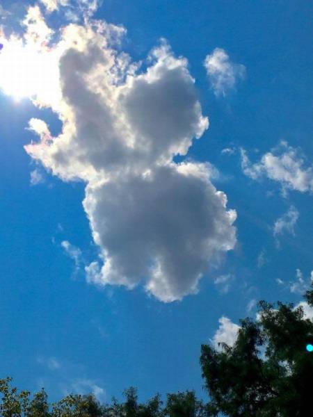 Acid Picdump (110 pics)