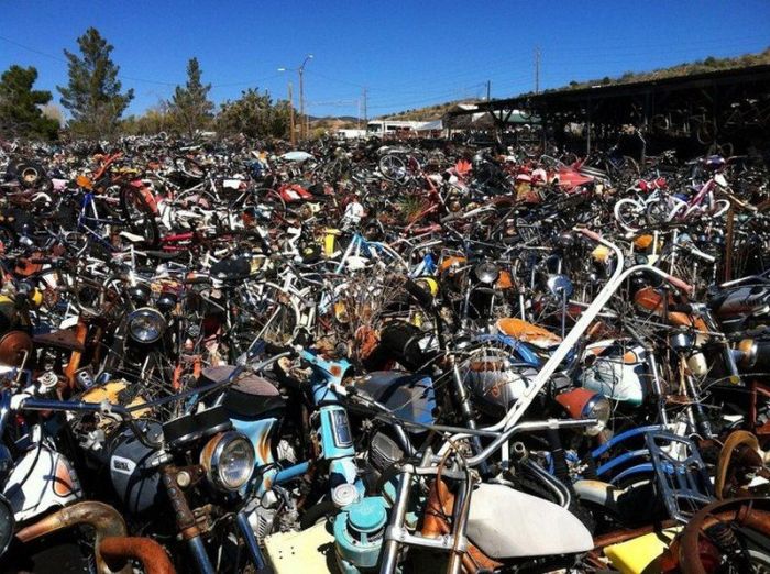 Bikes Are Collecting Rust In This Motorcycle Cemetery (13 pics)