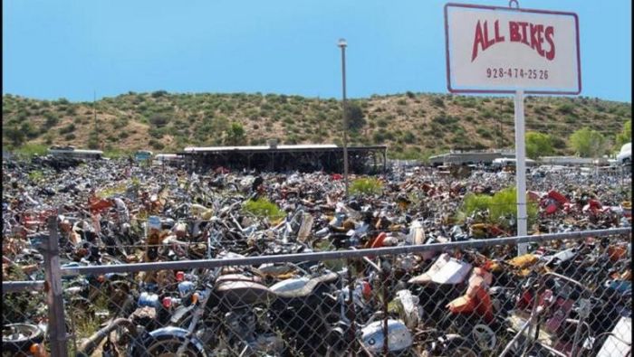Bikes Are Collecting Rust In This Motorcycle Cemetery (13 pics)