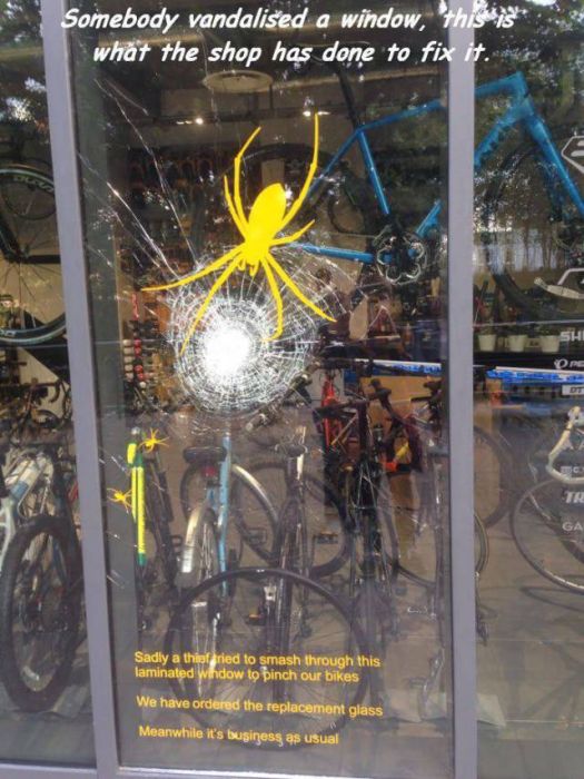 Acid Picdump (101 pics)