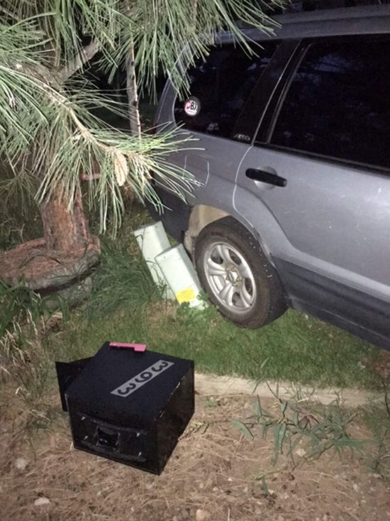 Bear Takes SUV For A Short Drive After Breaking Into It (2 pics)