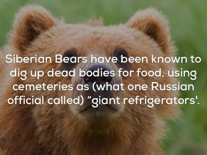 Little Facts That Will Creep You Out Big Time (20 pics)