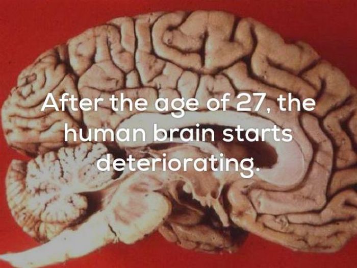 Little Facts That Will Creep You Out Big Time (20 pics)