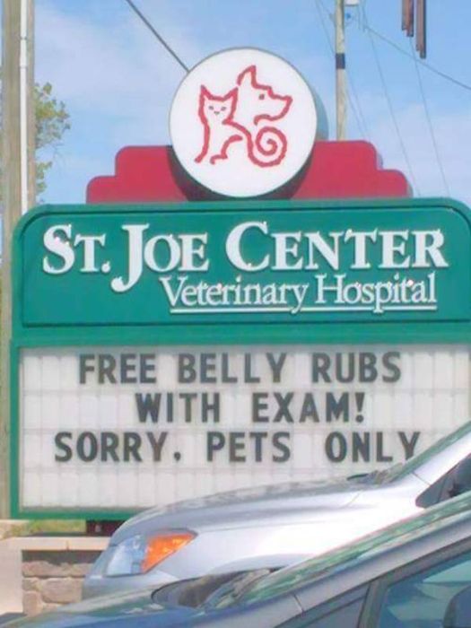 Hilarious Vet Clinic Signs That Will Crack You Up (17 pics)