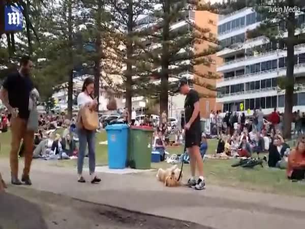Gold Coast Dog Refuses To Leave Park And Plays Dead