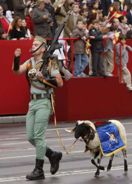 There Are No Words For These Army Photos (41 pics)