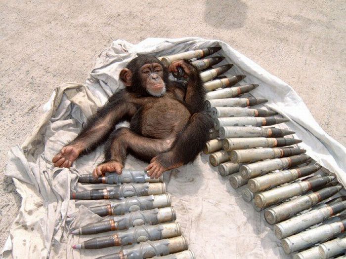 There Are No Words For These Army Photos (41 pics)