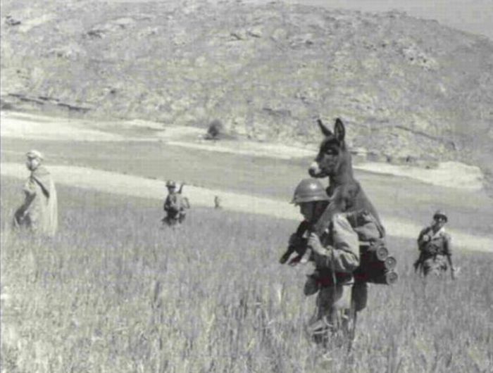 There Are No Words For These Army Photos (41 pics)