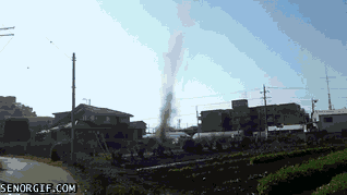Acid Gifdump, August 10, 2017 (25 gifs)