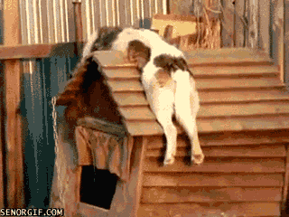 Acid Gifdump, August 10, 2017 (25 gifs)