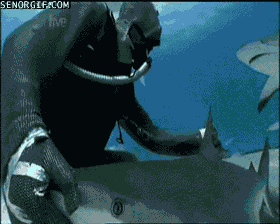 Acid Gifdump, August 10, 2017 (25 gifs)