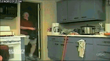 Acid Gifdump, August 10, 2017 (25 gifs)