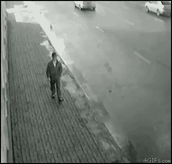 Acid Gifdump, August 10, 2017 (25 gifs)