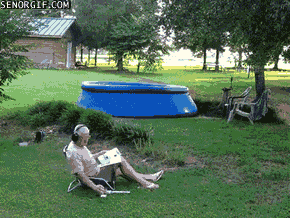 Acid Gifdump, August 10, 2017 (25 gifs)