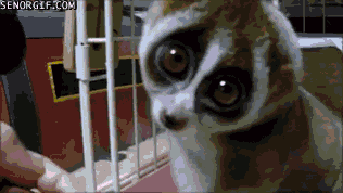 Acid Gifdump, August 10, 2017 (25 gifs)