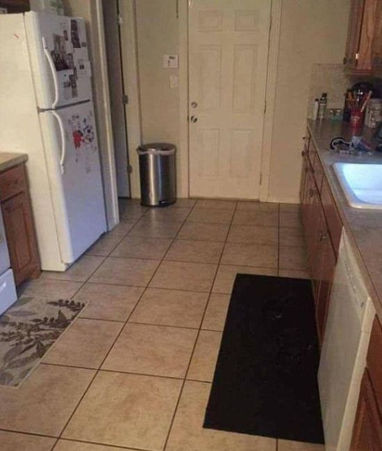 See If You Can Find The Dog In This Picture (2 pics)