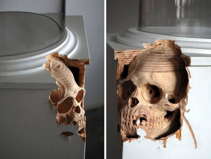 Acid Picdump (111 pics)