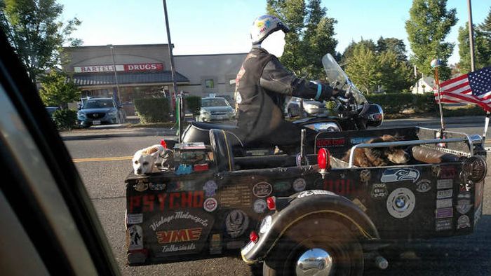 Acid Picdump (111 pics)