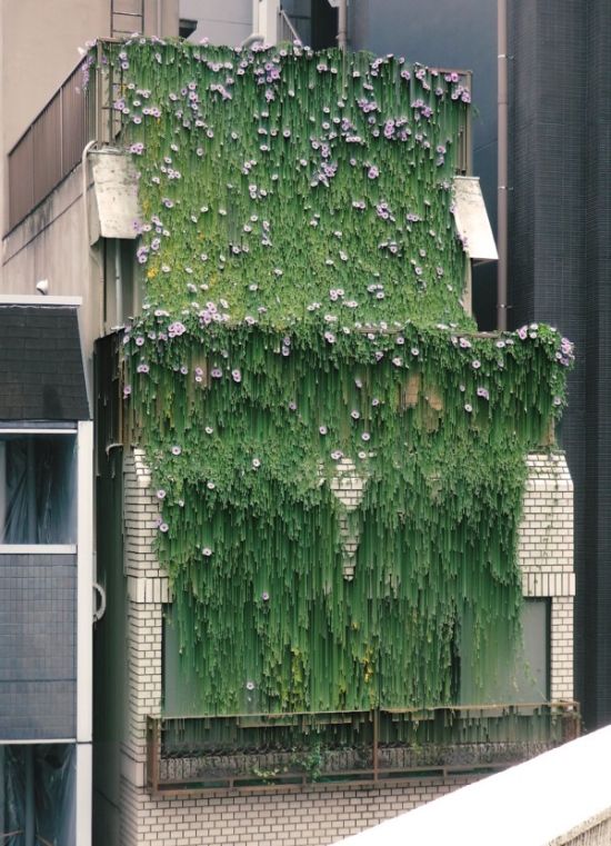 Acid Picdump (111 pics)