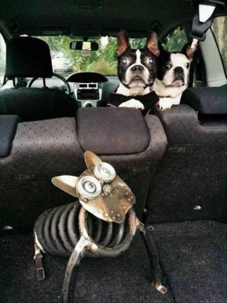 Acid Picdump (111 pics)