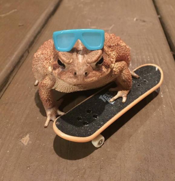 Acid Picdump (111 pics)