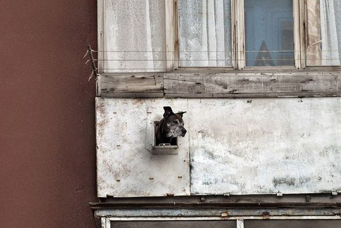 You Can See Some Strange Things On Balconies In Russia (30 pics)