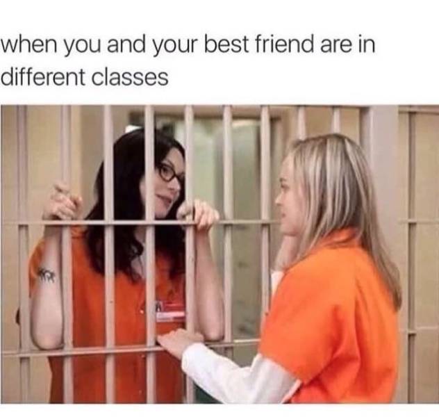 Huge Meme Dump That Will Instantly Improve Your Day (35 pics)