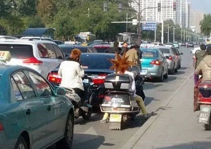 Traveling On The Road Can Be Fun Or Disastrous (37 pics)