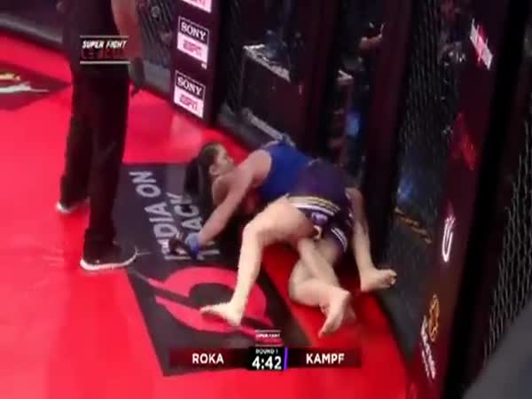 Cornerman Jumps the Cage to Save Fighter From Terrible Referee