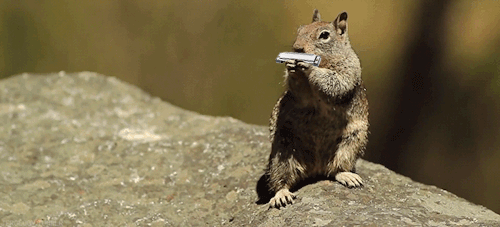 Acid Gifdump, August 14, 2017 (25 gifs)