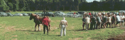 Acid Gifdump, August 14, 2017 (25 gifs)