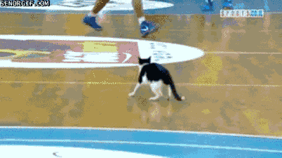 Acid Gifdump, August 14, 2017 (25 gifs)