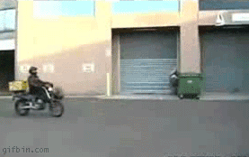 Acid Gifdump, August 14, 2017 (25 gifs)