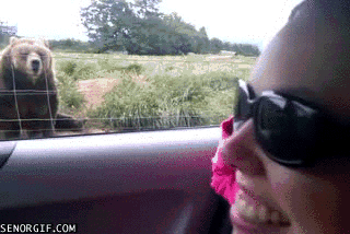 Acid Gifdump, August 14, 2017 (25 gifs)