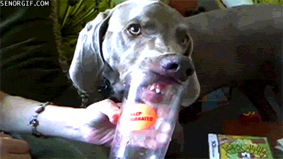 Acid Gifdump, August 14, 2017 (25 gifs)
